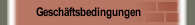 Geschäftsbedingungen